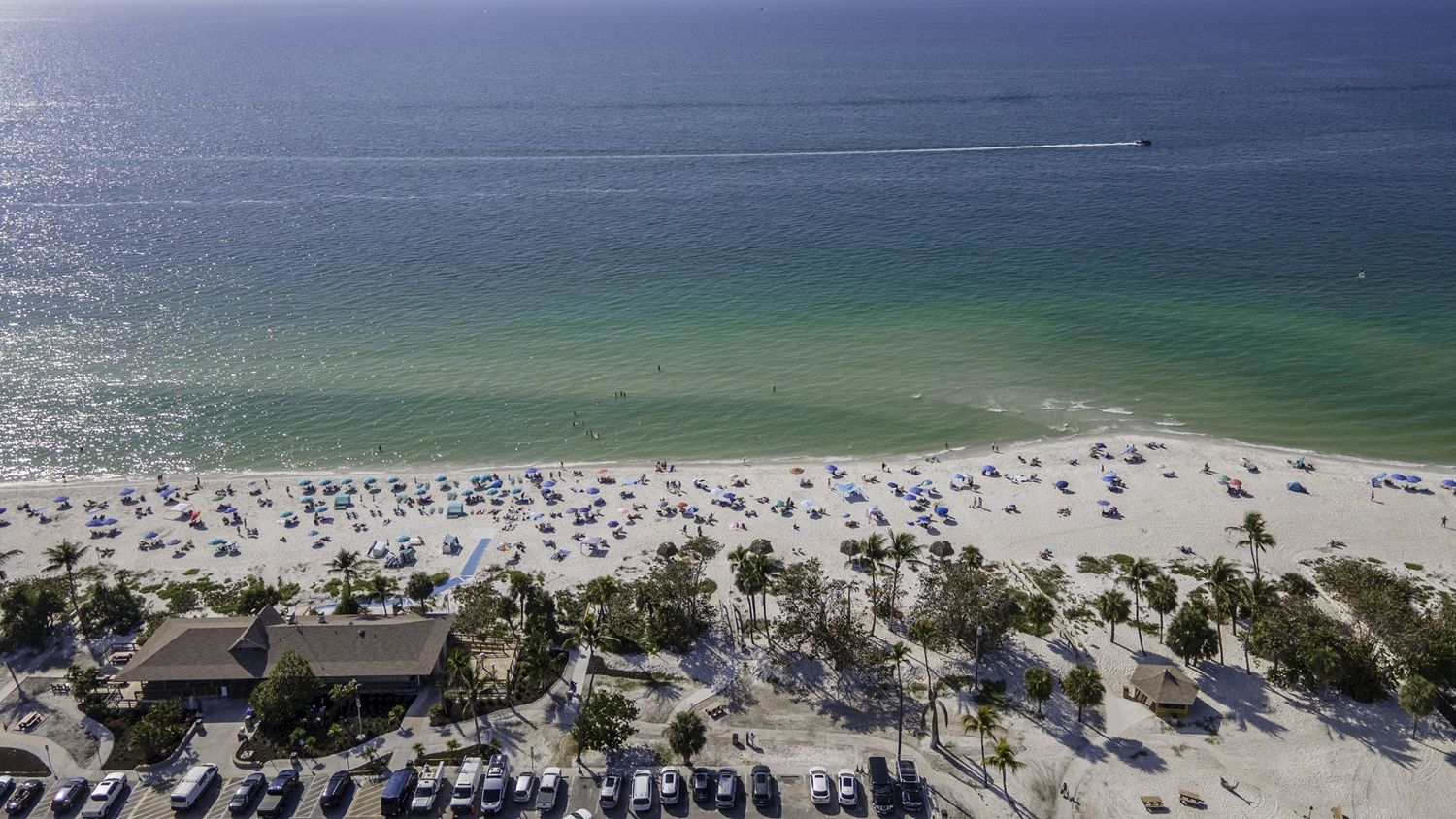 A sunny ocean view over a crowded sandy beach with umbrellas, palm trees, and parked cars along the shoreline to the horizon.