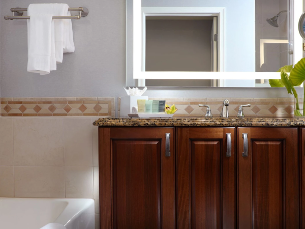 A modern bathroom with a granite countertop, double sinks, faucets, mirror, towel rack, and a green decorative plant.