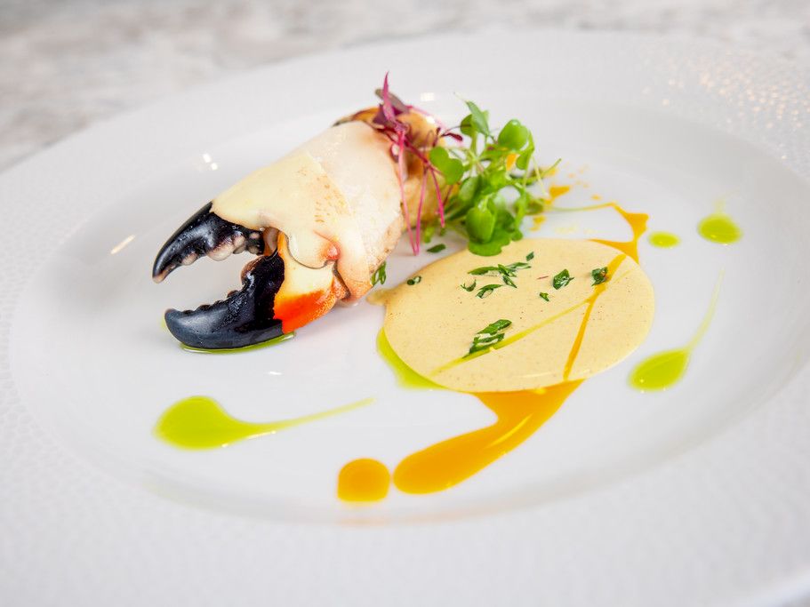 A plated seafood entr&eacute;e with lobster tail, creamy puree, colorful oil drizzles, and microgreens garnish.