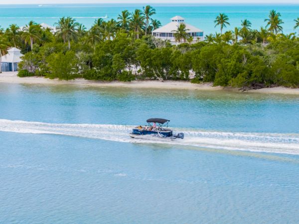 A boat powered by a white wake glides across calm blue water near a sandy beach lined with green trees and palm trees, under a clear sky.
