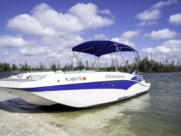 A white and blue speedboat on calm water near shore, with a canopy and clear skies&mdash;ready for a day of boating adventures.