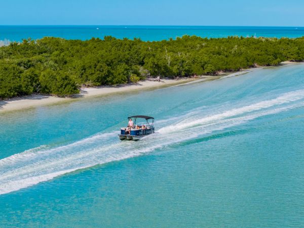 A small boat speeds along turquoise water near a lush mangrove coastline, leaving white wake on calm sea, sunny and tropical.
