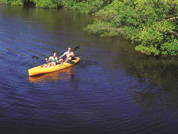 Two people paddle a bright yellow kayak on calm blue water near lush green trees, enjoying a sunny day adventure.