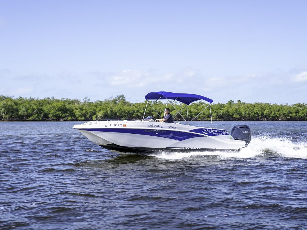 A speedboat gliding on white-capped water near a green mangrove shoreline, blue canopy overhead, bright clear sky.