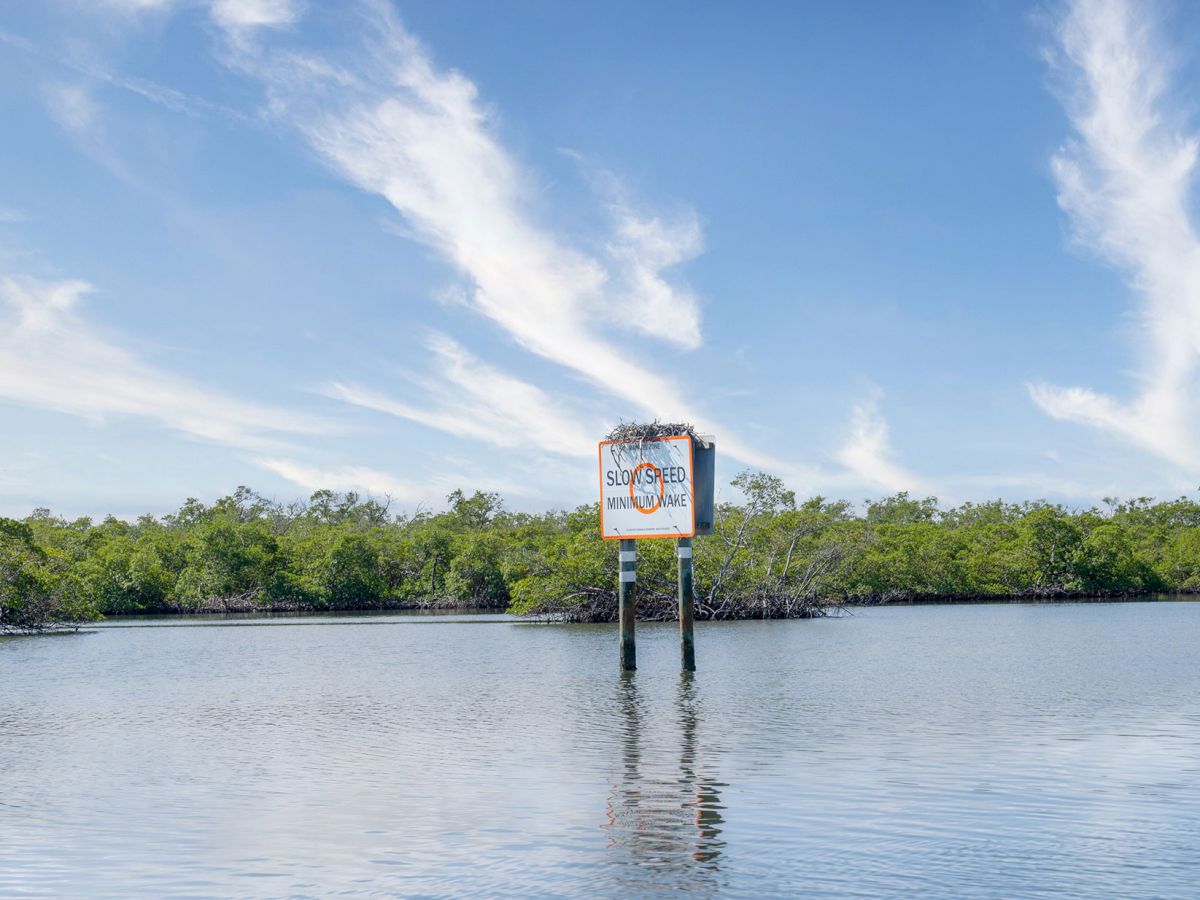 A calm water scene with a sign on stilts rising from a mangrove inlet, surrounded by lush green trees and a bright blue sky.