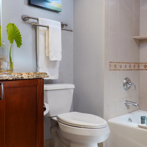 A bright bathroom with a bathtub, toilet, granite vanity, towels, and a tall green leaf by the window.