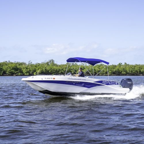 A speedboat glides over blue water with a blue canopy, passing a green tree line under a clear sky.