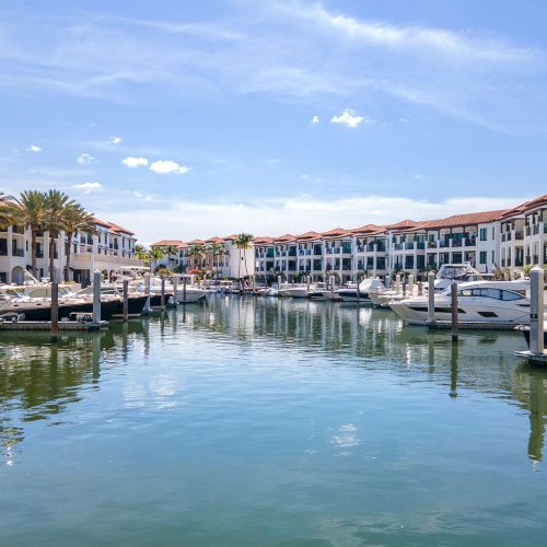 A sunny marina with yachts docked and palm-lined resort buildings along the water.