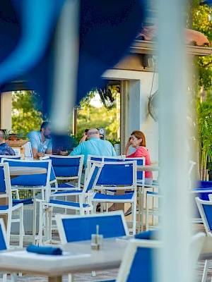 A sunny outdoor patio where people sit and talk at blue-and-white chairs while greenery surrounds the dining area.