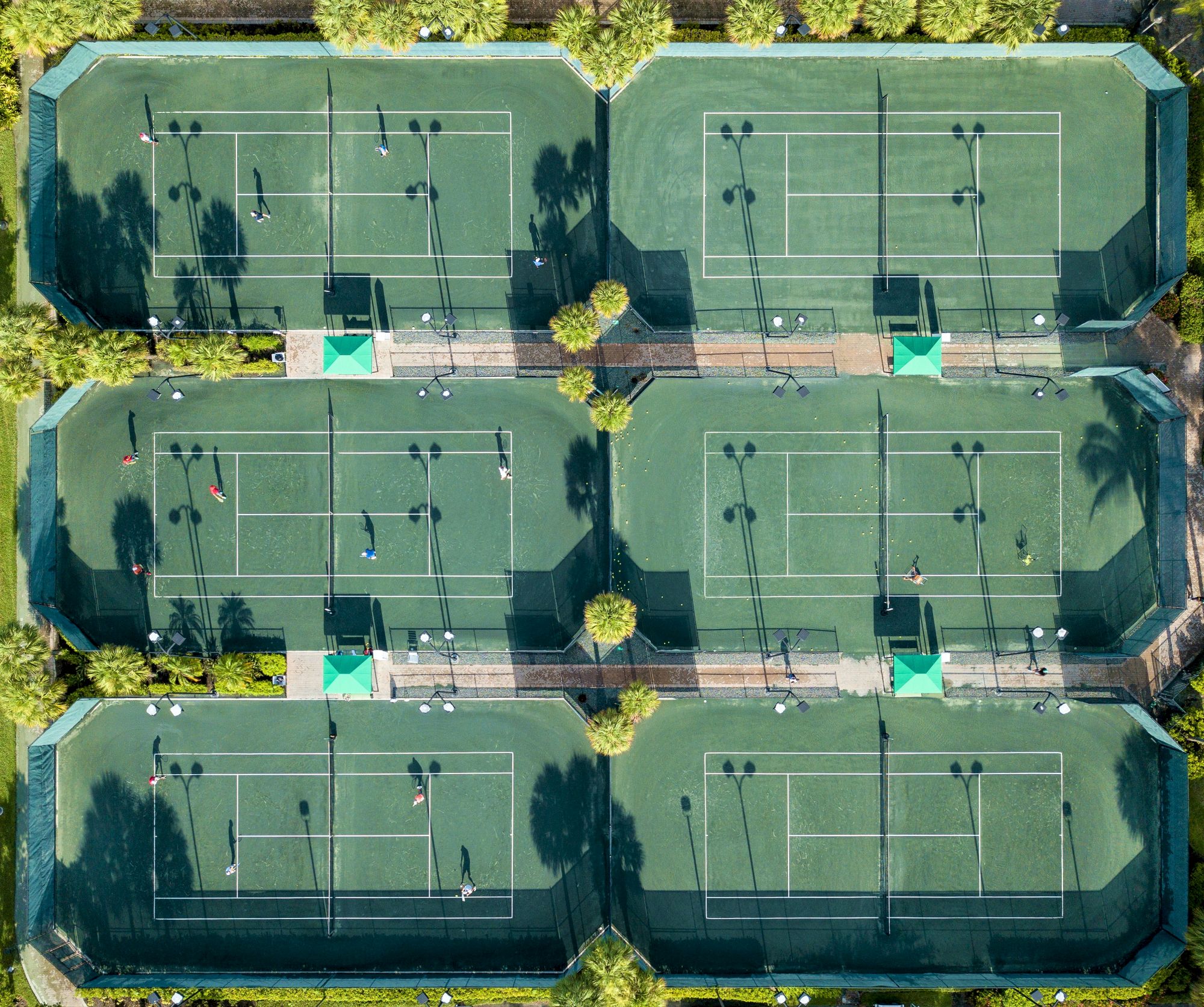 Aerial view of four tennis courts on a sunny complex, with players on the green courts and palm trees casting shadows overhead.
