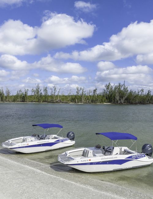 Boats docked by a sunny shoreline with calm turquoise water, a tree-lined island, and bright blue skies with fluffy clouds.