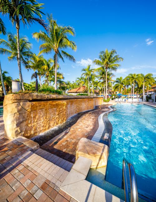 An image of a lap pool with blue water, bright blue sky and palm trees