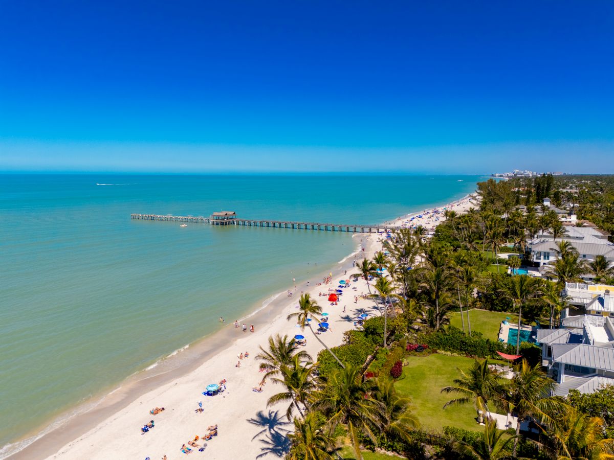 Sunny tropical beach with palm trees, people, turquoise ocean, and a long pier extending into the water.