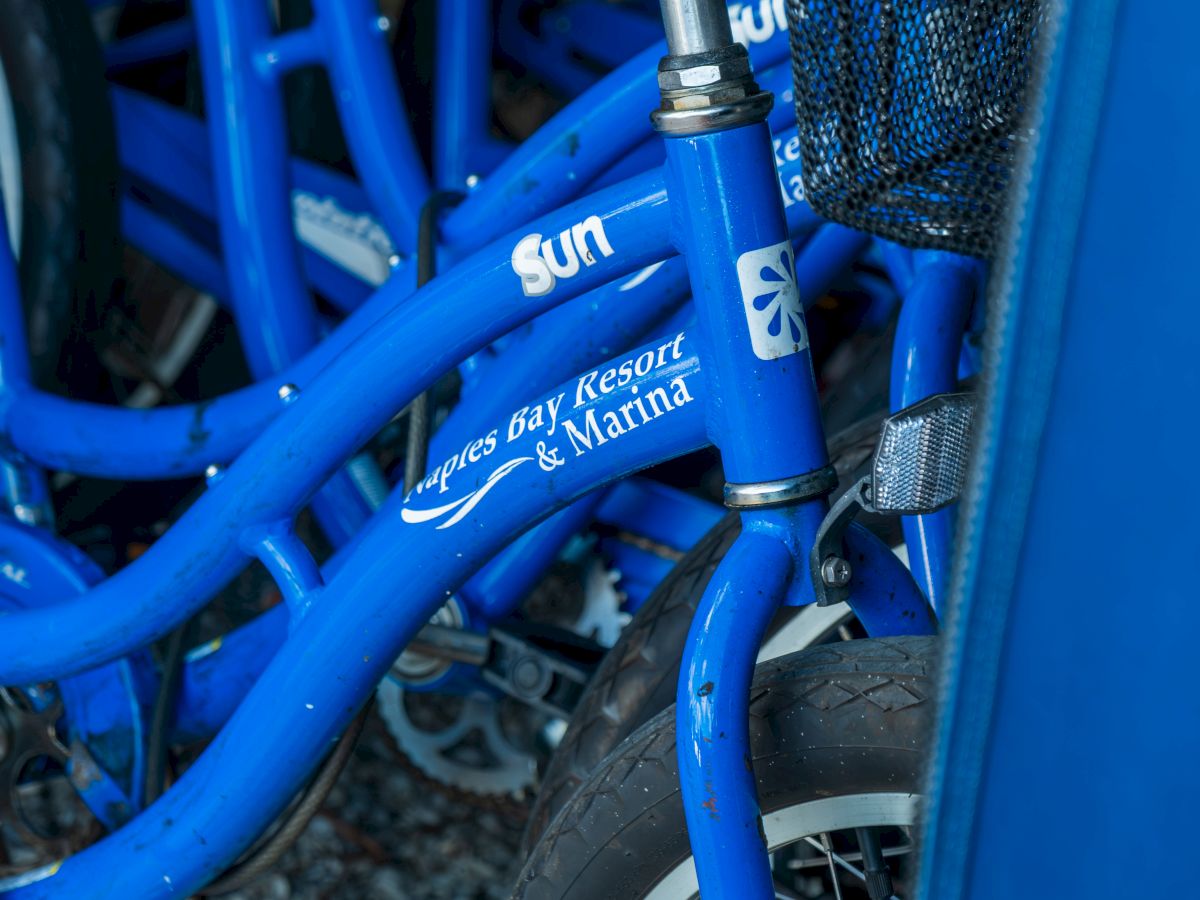 A close-up of a blue bicycle frame and fork with a chain and cable bundle secured by a metal clamp.