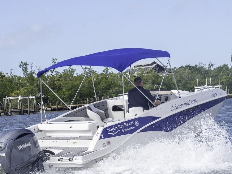 A white-and-blue motorboat with a blue canopy speeds across the water near a tree-lined shore, throwing spray.