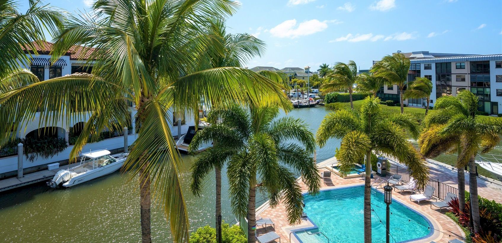 A tropical resort view with tall palm trees, a marina of boats, and a turquoise swimming pool beside the water.