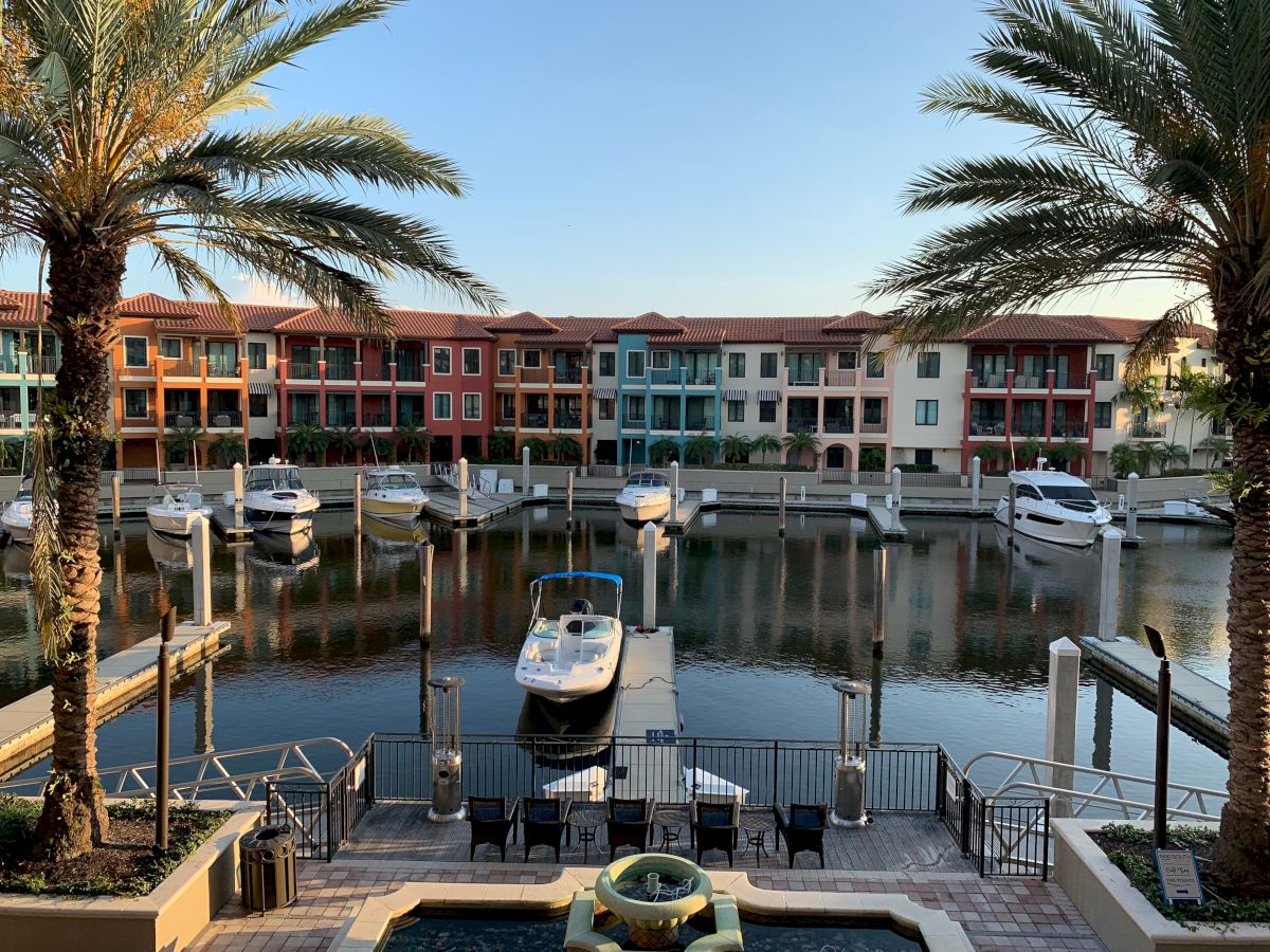 Palm-lined marina with yachts docked in front of colorful resort buildings, calm water under a clear blue sky.